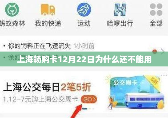 上海畅购卡12月22日为什么还不能用