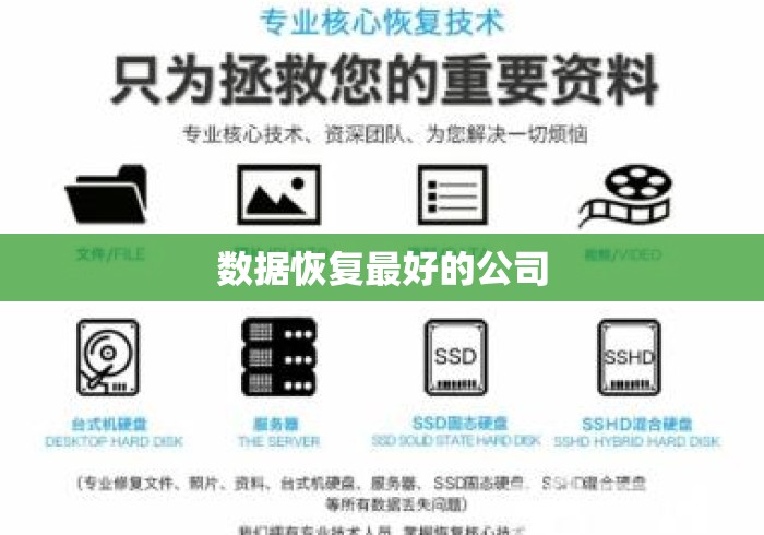 数据恢复最好的公司