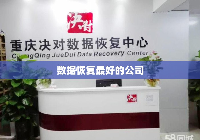 数据恢复最好的公司