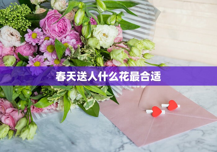 春天送人什么花最合适 春天送人什么花最合适
