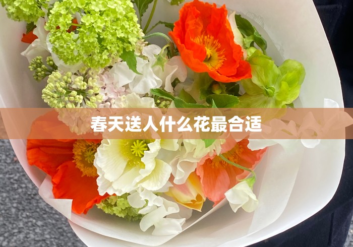 春天送人什么花最合适 春天送人什么花最合适