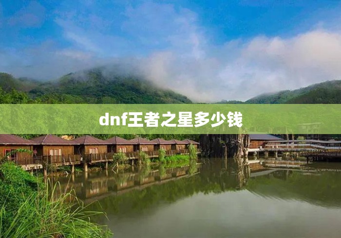dnf王者之星多少钱