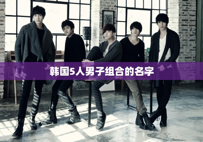 韩国5人男子组合的名字