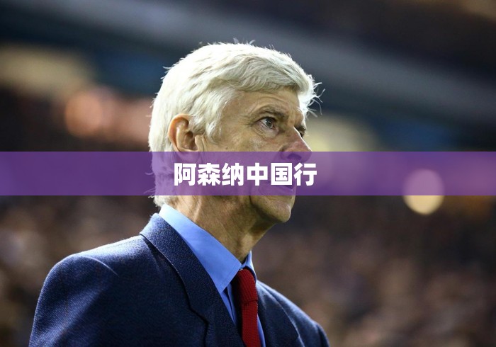 阿森纳中国行 阿森纳中国行