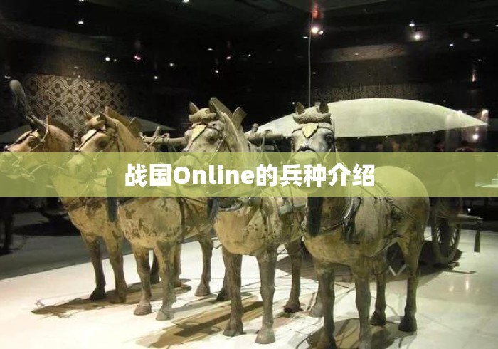 战国Online的兵种介绍