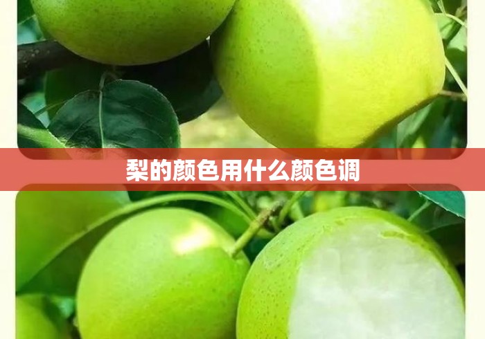 梨的颜色用什么颜色调