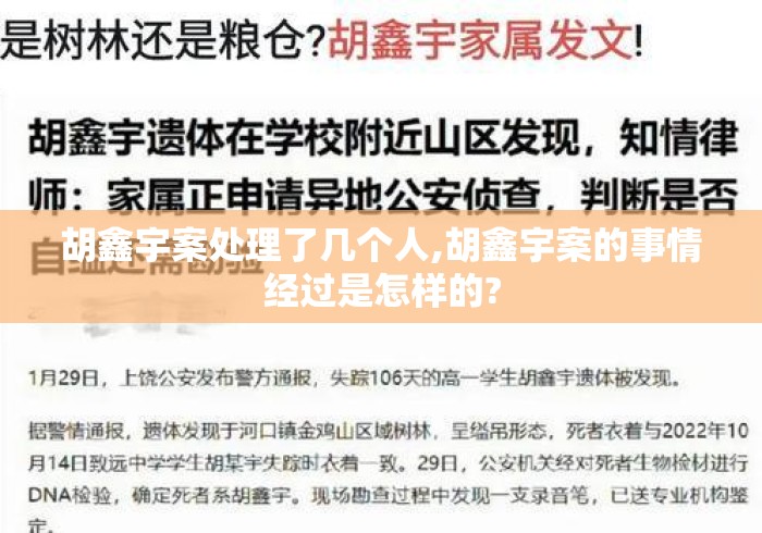 胡鑫宇案处理了几个人,胡鑫宇案的事情经过是怎样的?