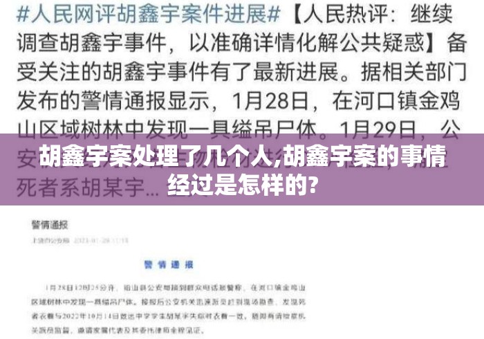 胡鑫宇案处理了几个人,胡鑫宇案的事情经过是怎样的?