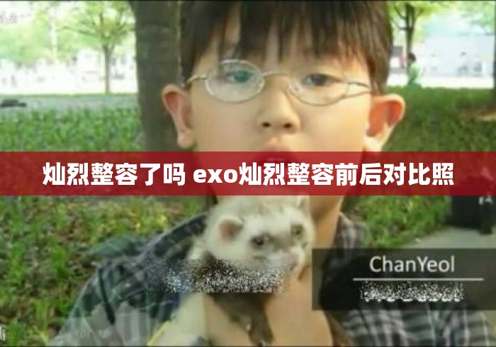 灿烈整容了吗 exo灿烈整容前后对比照，EXO灿烈整容前后对比照曝光 网友热议是否整容