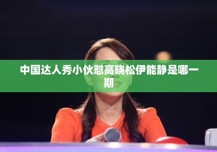 中国达人秀小伙怼高晓松伊能静是哪一期