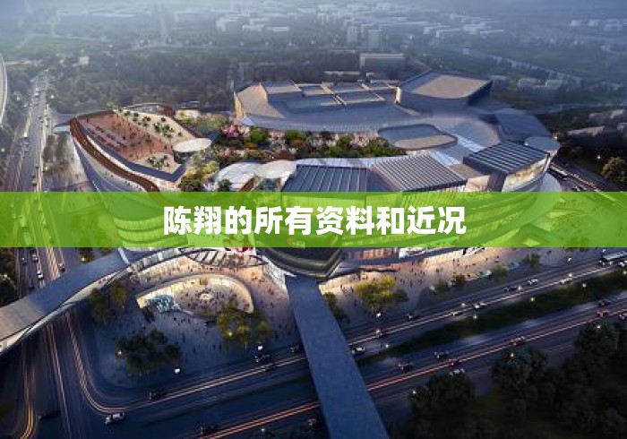 陈翔的所有资料和近况 陈翔的所有资料和近况