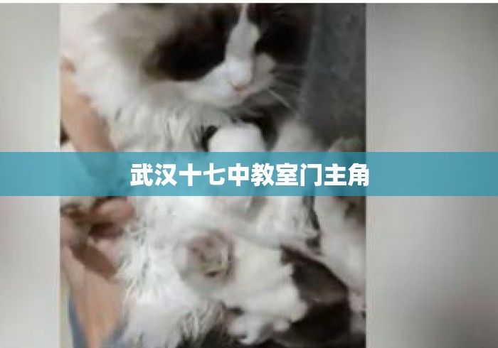 武汉十七中教室门主角 武汉十七中教室门主角