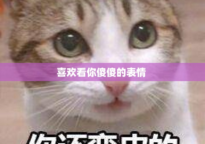 喜欢看你傻傻的表情 喜欢看你傻傻的表情
