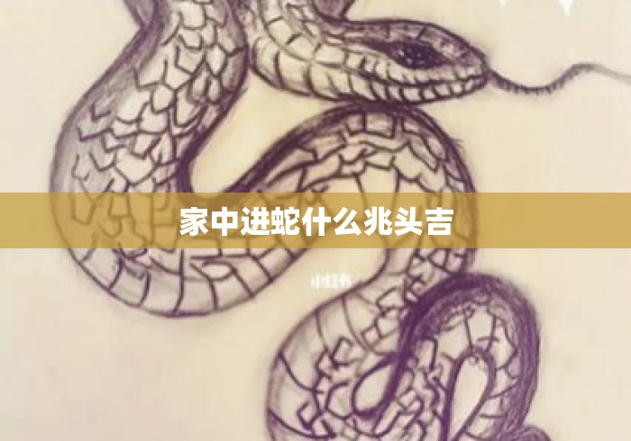 家中进蛇什么兆头吉 家中进蛇什么兆头吉