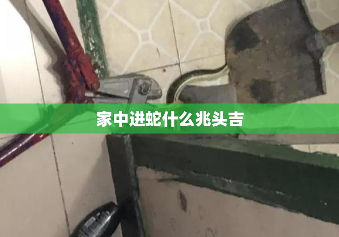 家中进蛇什么兆头吉 家中进蛇什么兆头吉