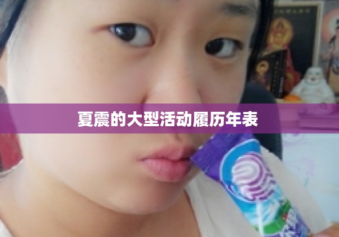 夏震的大型活动履历年表 
